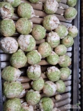 Sprzedam seler po polerce 0.4-1kg jakość marketowa opakowanie do uzgodnienia ilość 20t 