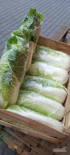 /images/posts/2024/08/1901122/lHJI3LAexUxJRWQKalBBbv5CqIjlWG65HrUCcxD1.jpeg