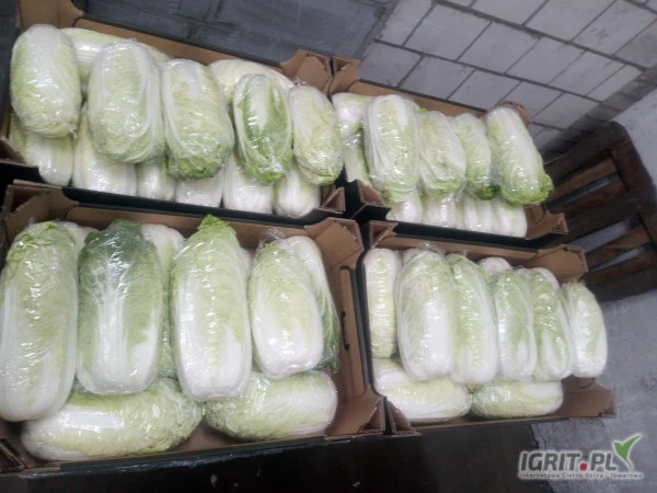 /images/posts/2024/08/1901219/9zAI6pDW4F2B6hfdT3zdHXjnS9YUm2BYyQPljLnM.jpeg