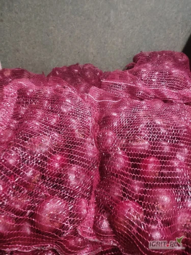 /images/posts/2024/08/1901177/1d4tJxoQ5VvWgIyq55blt04rmA64YVvuJ0FvHmuH.jpeg