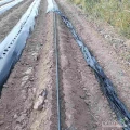 Taśma kroplująca Fi16-10cm-6mil-1000m
