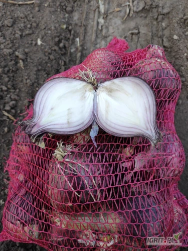 /images/posts/2024/06/1867912/e9OH4mN9vJUTJEWCqbyoSblGvci2Ml9auqm6CgTu.jpeg