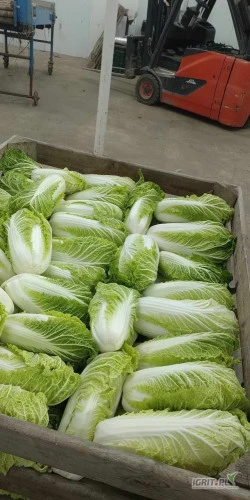 /images/posts/2024/08/1902804/waDUzM5pougUPg0jcOEJgGFypxljElalBZy0xRt4.jpeg