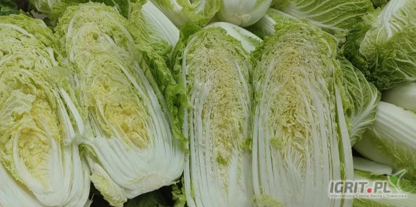 /images/posts/2024/08/1902804/jNqiPbnY8ZqYj3vmYeQBczycJHsRdpnSuNZyDF03.jpeg