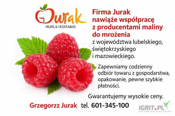 /images/posts/2025/06/2021860/CNP3mR24s6PuwkVAwz5Rj9zV7dQ5SN7m6Cbew4t3.jpeg
