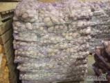 Sprzedam ziemniaki jadalne czerwone Red Lady Kal 50 worek 15 kg szyty kolor fioletowy ilości 22 palety.  Zapraszam 