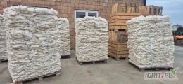 Kupie pietruszke myta, kaliber handlowy, pakowana w worki po 5kg, ilosci paletowe I calosamochodowe,  