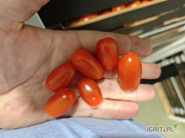 /images/posts/2024/09/1917618/H0iFXpPhrF5Ds6o93ZrNGxQ9bhl6uLIEsGE781EW.jpeg