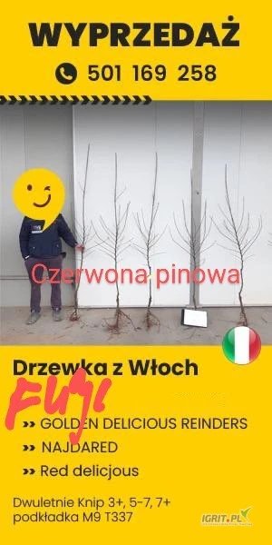 /images/posts/2025/06/2021881/U3dysiapzOLeY77yee1JXuk6vJnh54zHRFFRcpDA.jpeg