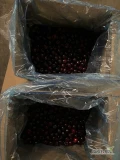 Sprzedam ciemną czereśnię /II klasa/ w kartonach po 10 kg/6 ton