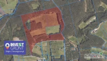 [7,79 ha] przetarg nieograniczony na bezterminową dzierżawę gruntów rolnych [powiat międzychodzki, woj. wielkopolskie] użytek...