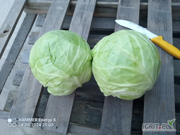 /images/posts/2024/06/1872022/6vgkUAPTUrKPM4DWV9Hd8EIbG381a6F3YrM44C2r.jpeg