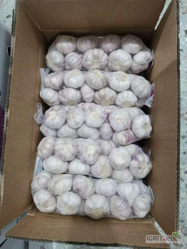 /images/posts/2025/05/2008918/8tewPyR43F0ni6XTkS9lgbANyhVHOK5IBEqsBVq4.jpeg