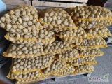 Sprzedam ładny ziemniak (luleczke) świeża dzisiaj kopana 600kg cena do uzgodnienia 661609948