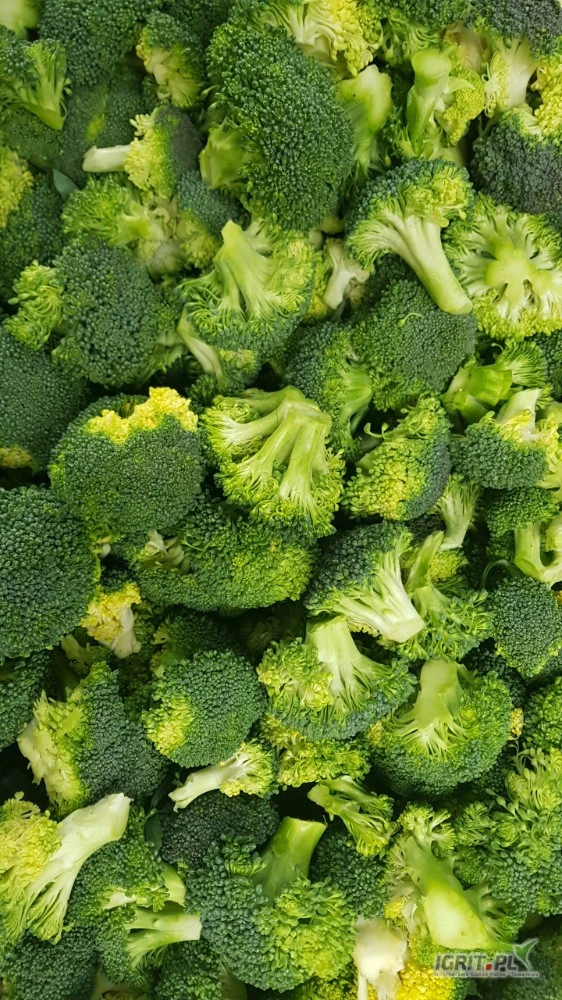 /images/posts/2025/05/2009117/6Zgrlbjo7cP1r87I82FxplA6q3HRVeroW4UhrSV9.jpeg