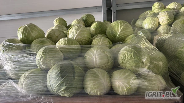 /images/posts/2024/06/1876405/KkwkQCBeydvs7ydUf3Zyka3x0nMNhdn9Ejw0MDbg.jpeg