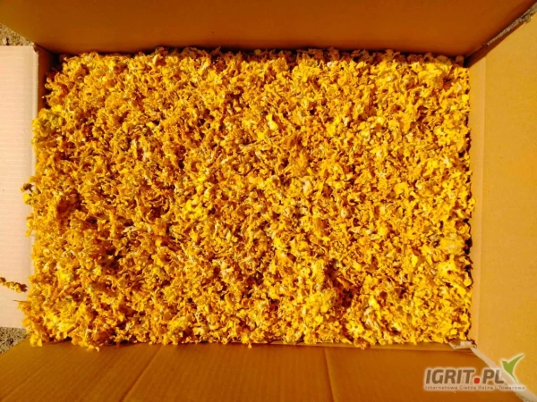 /images/posts/2025/05/2009790/l3PTuEWBxyLuZgGtp3woXYZX8f5JjvdtZolI19bO.jpeg