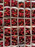 Sprzedam ok. 350 koszyków Rumba więcej informacji pod nr. tel.