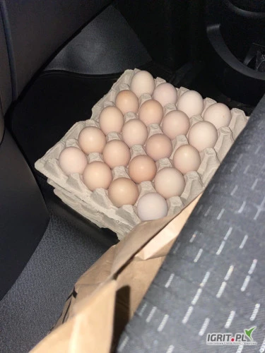 /images/posts/2024/07/1887168/lxBZSG1vNiSKmdbBaSxR9qtGXGjkWfeGR6beo4sg.jpeg