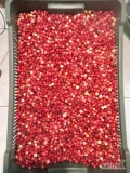 Sprzedam żurawine w ilościach hurtowych i detalicznych. Możliwość transportu.Cena 18-22zł  Kontakt :577246910