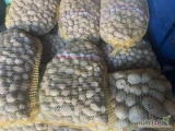 Sprzedam 350 kg ziemniaka odpadowego pakowanego w worki po 15 kg. Przebieranie bez pacyn.