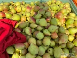 Sprzedam gruszkę przemysłowa przełamana klapsa około 500 600 kg