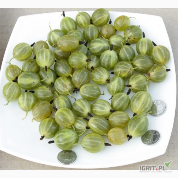 /images/posts/2025/05/2010704/OqbLccJ0cqicWy1j6hRygyEKB1bZsmZM0gukQLhf.jpeg