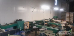 Sprzedam sortownice do jabłek firmy greefa maszyna w pełni mechaniczna wagowa dwu ścieżkowa 6 wyjść 