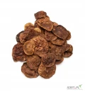 Podgrzybek brunatny (Xerocomus badius) 1 kg CAŁY KAPELUSZE (pakowane 2 x 500g)
