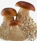 BOROWIK DROBNO KROJONY GRYS od 8-14 mm (Boletus edulis) 1 kg (pakowane 2 x 500g)
