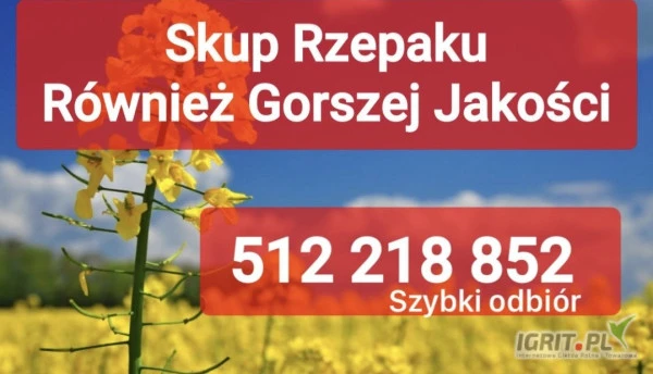 /images/posts/2024/09/1913528/dkMj1s5cIjxtMx2KmUsT0aZaeLLcxisK1Phna0k9.jpeg