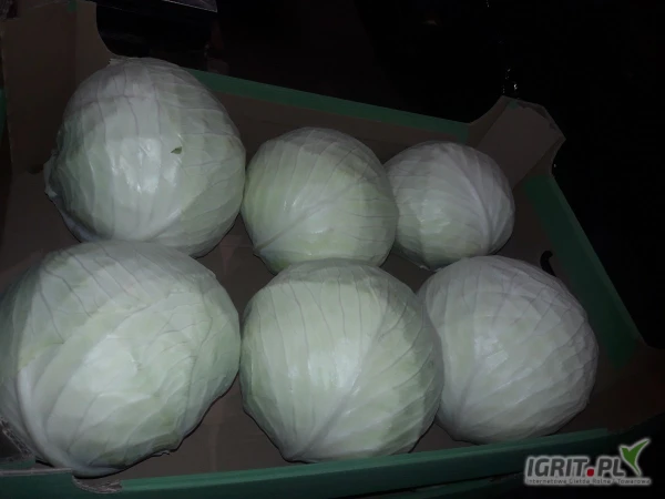 /images/posts/2025/05/2010059/n0yGPoPp5PvlBUac2zpZ9Wj3wNEGw6KyF2XP7t7O.jpeg