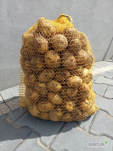 /images/posts/2024/07/1885056/cgFz2mjYn7bx6AX7eGLw1iK7L01VVDWYsUSORbhD.jpeg
