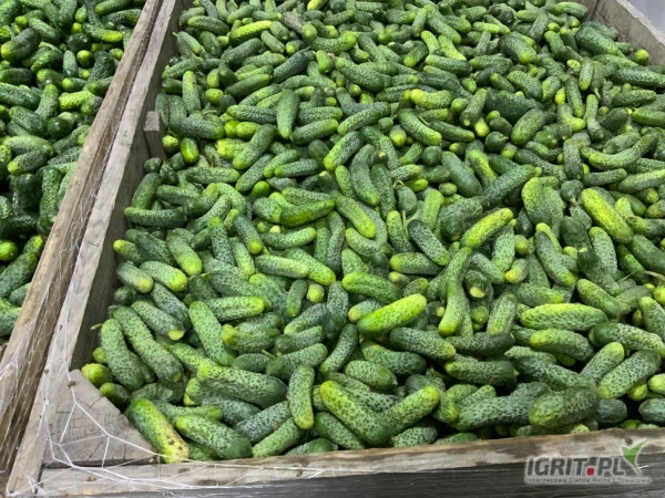 /images/posts/2024/07/1879457/HfLsGzc4H7VtrrYjpFkeuweXdiecX1R0wiJqM71Y.jpeg