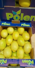 Sprzedam - CYTRYNA Turcja - odmiana Enterdonato. Ilości paletowe i całosamochodowe pod zamówienie.