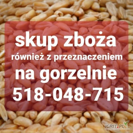 /images/posts/2025/06/2022361/8q9HJp4JgcFmXM3Pn3ouLEtdpcg0Ec6zsqSgCIVZ.jpeg