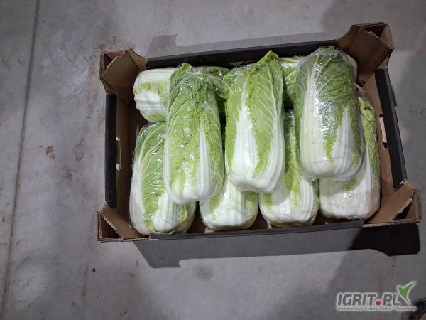 /images/posts/2025/05/2010247/nKxse7De0LpC4vy94cGIcKHRncJK2BxGRlhTrTiH.jpeg