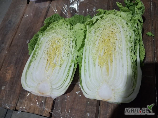 /images/posts/2025/05/2010247/0po9fc7EErz17ZbJJgB4w2ViYpPE5TYlXgw3GIor.jpeg