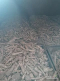 Sprzedam grubsza bietruszke na przemys beż rdzy 
