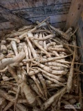 Witam mam na sprzedaż pietruszke 3 - 6 kaliber handlowy nadająca się do mycia 