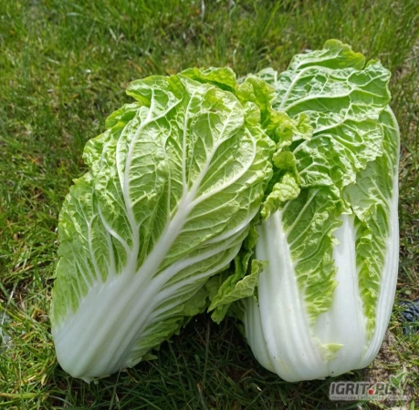 /images/posts/2025/05/2009114/pHBEKTpn5HFSCQTobdIMpejrjjcaHIUic08UPcSz.jpeg