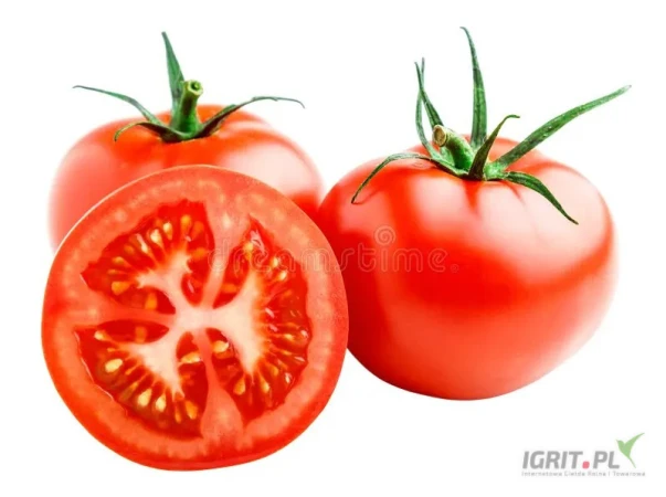 /images/posts/2025/05/2007335/SevtXoQzKME1BM22WCcEW3PdViq7M9eLG78VVD1N.jpeg