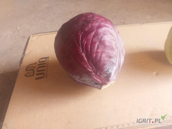 /images/posts/2025/03/1984069/VnKCaxTJNkXyN124r7oP7d1CcVLgW1fkKoKxzn92.jpeg