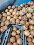 Supply capacity per year: 500 tons Exporting standard and quality: Good color, uniformity
