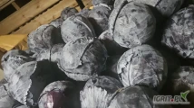 Witam sprzedam kapuste białą i czerwoną szykowaną w karton box ilości tirowe zainteresowanych zapraszam 