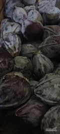 Sprzedam kapustę czerwoną worki 20 kg x 50szt.na palecie przemysłowej jakości marketowej z nalotem. 