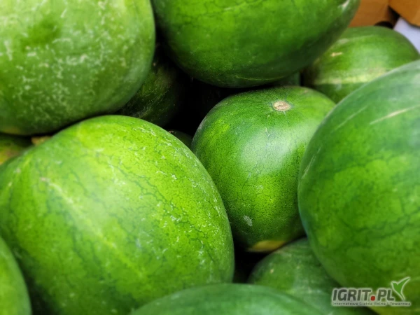 /images/posts/2025/05/2010610/PhrfbyCsarFT9kUcnhBVWnvatWq7U4L2lgBWtLPp.jpeg