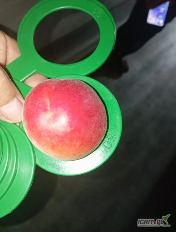 /images/posts/2025/05/2011259/QbiBDyxFGiVkzQeeGiw9aUAVhniu5t3mFpSgwLH1.jpeg