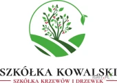 Sadzonki porzeczki czerwonej. Sadzonki porzeczki czarnej. Sadzonki aronii. Sadzonki Bzu czarnego Sampo. Wisnia Łutówka/antypka.