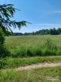 Sprzedam łąkę 1,21 h w miejscowości Skaryszewo, gmina Narew woj.podlaskie nr.dz.140 lub wydzierżawię. 